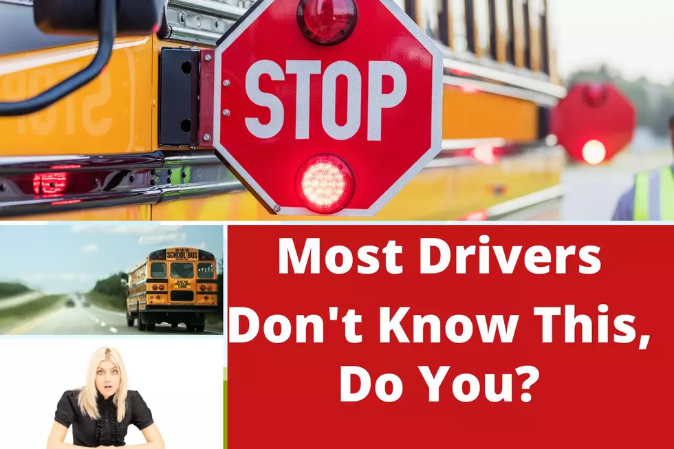 You Should Know: When, Where to Stop for School Buses