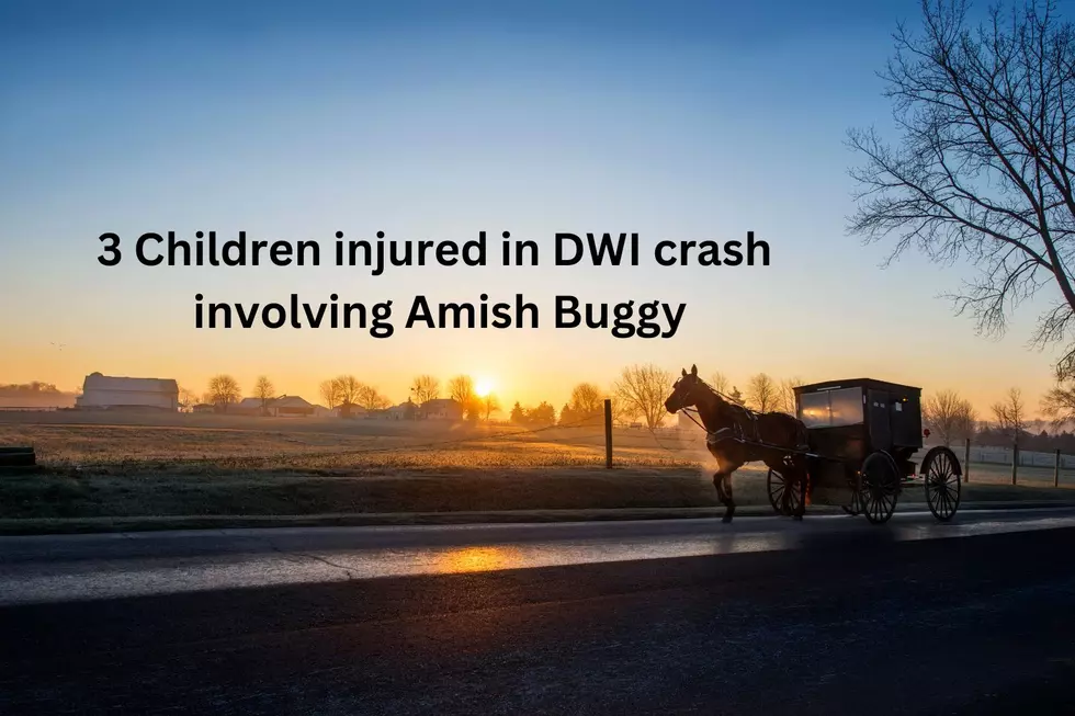 Horse Drawn Buggy Flips, Young Kids Hurt in DWI Crash: NYSP