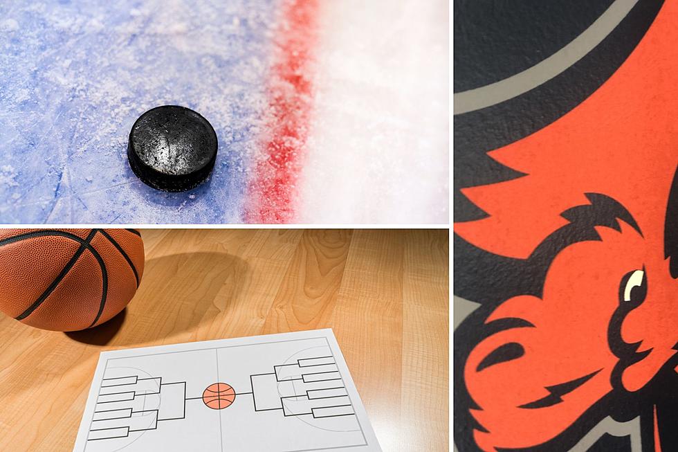 Pioneer Power-Utica University Hockey, Hoops Have Historic Season