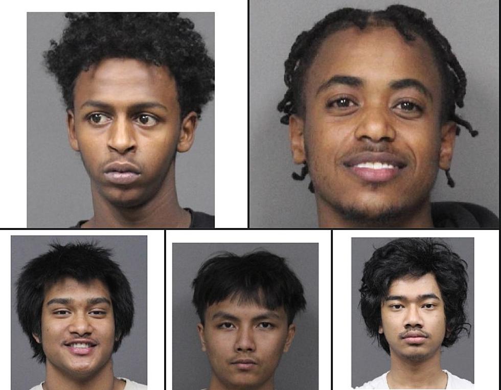 Arrested at The Zoo? 5 Young Men Hop Fence At Utica Zoo