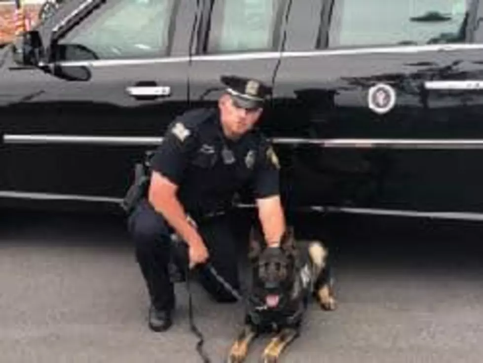 Photo Courtesy of Utica Police via Facebook