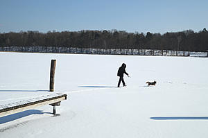 Upstate New York Woman Risks Life But Loses Both Dogs That Fell...