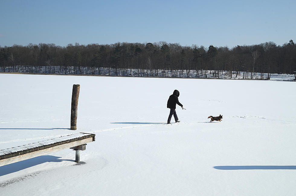 Upstate New York Woman Risks Life But Loses Both Dogs That Fell through Ice
