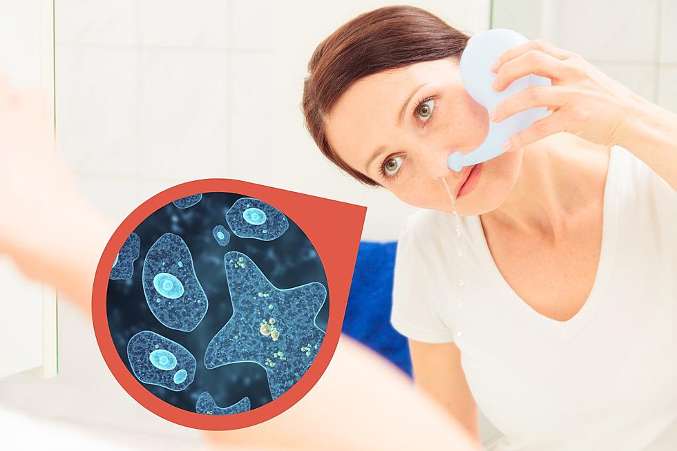 Another Deadly Brain-Eating Amoeba Linked to Neti Pot Use