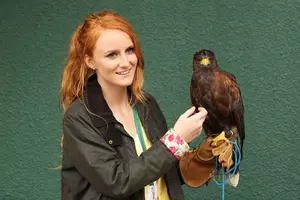 This Outdoor Experience in New York Lets You Actually Hunt with Hawks