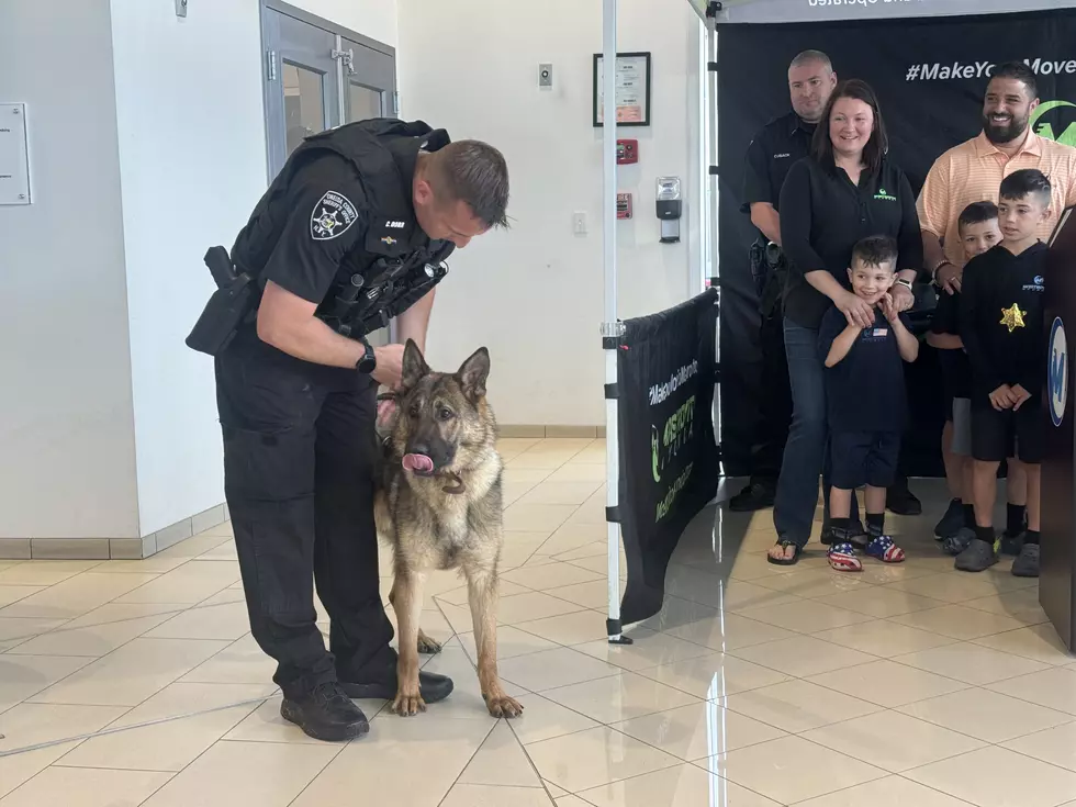 Local Car Dealership Donates K9 Officer to Oneida County Sheriff’s Office