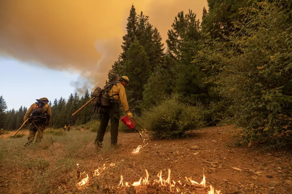 Park Fire Burns Thousands Of Acres In Northern California After Man Charged With Arson