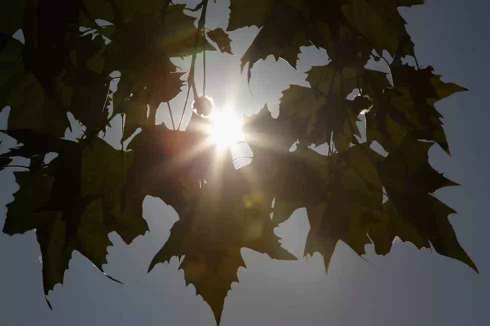 Upstate NY Summer Forecast Calls for Cooler, Wetter Weather