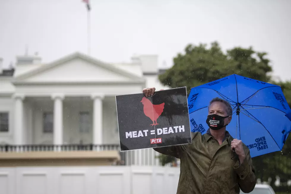 PETA Protests Outside White House Urging Closure Of Slaughterhouses