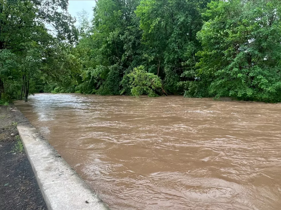 Megan Stone/WIBX/TSM - Oriskany Creek around 7am Sunday, July 22