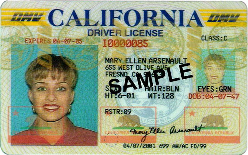 Lawmaker Wants To Get Rid Of Driver&#8217;s Licenses