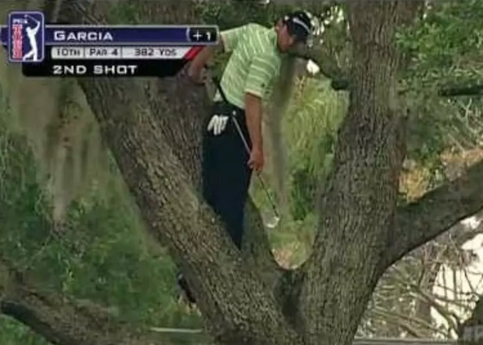 Sergio Garcia Makes An Impossible One-handed Backwards Golf Shot Out Of A Tree At The 2013 Arnold Palmer Invitiational [VIDEO]