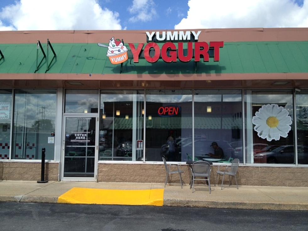 Yummy Yogurt Opens In New Hartford