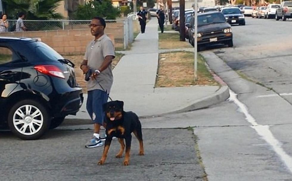 A Police Officer In Hawthorne California Shot And Killed A Dog That Was Defending It&#8217;s Owner Leon Rosby