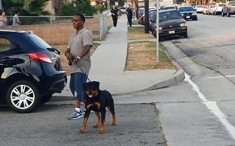 A Police Officer In Hawthorne California Shot And Killed A Dog That Was Defending It’s Owner Leon Rosby