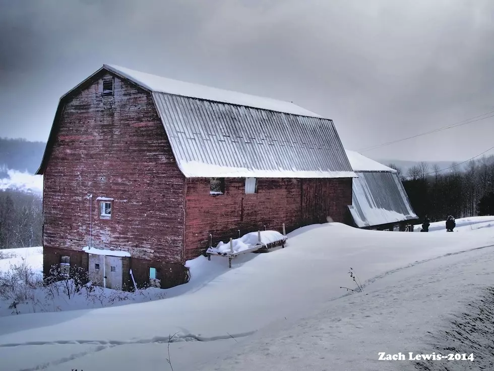 Winter in Central New York, Pt. 2&#8211;Zach&#8217;s Weekly Snaps [PHOTOS]