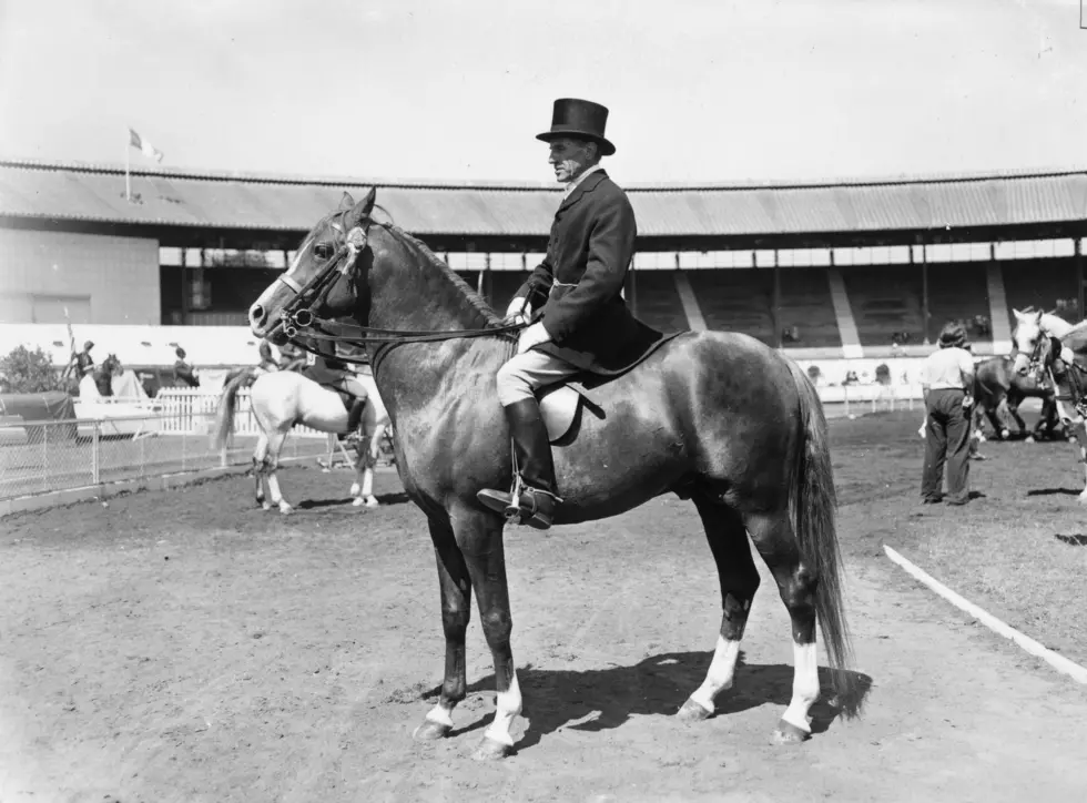 Arabian Horse Show And More This Weekend At NYS Fairgrounds