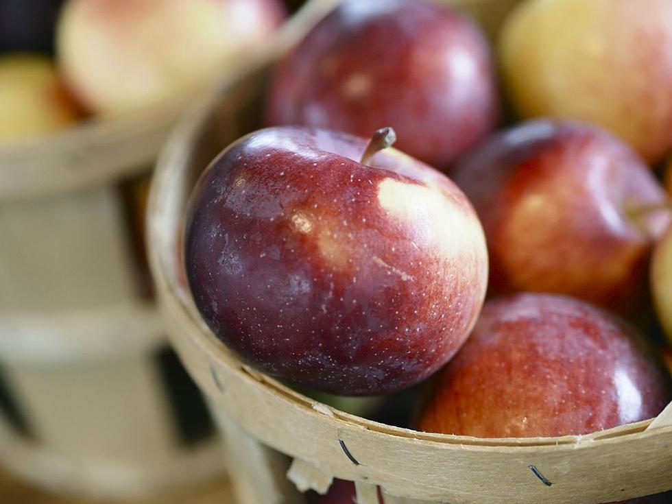 Apple Cider Near Utica