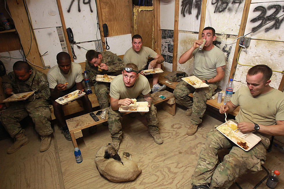 Your Leftover Halloween Candy Can Help Our Troops [VIDEO]