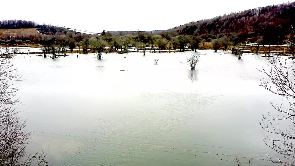 Spring Flooding Begins Near Utica [VIDEO]