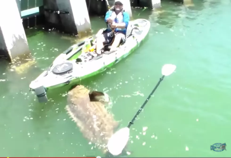 Man Catches 552 LB Fish From A Kayak