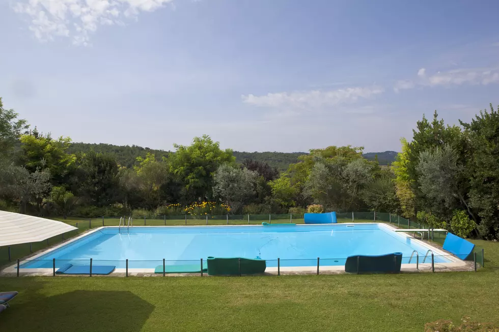 An Unexpected Pool Visitor [VIDEO]