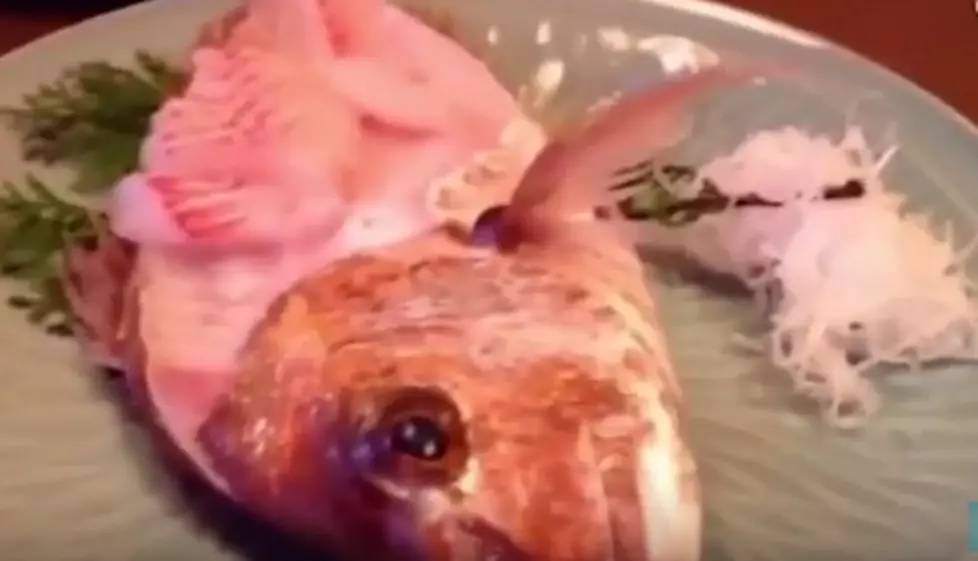 Half-Eaten Fish Jumps From Plate – Halloween Trick?