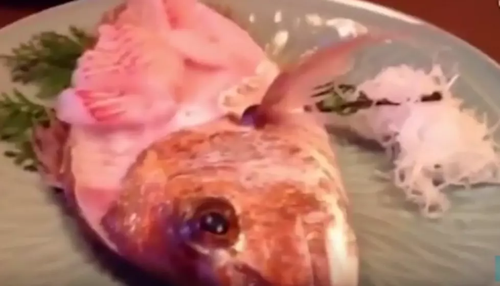 Half-Eaten Fish Jumps From Plate &#8211; Halloween Trick?