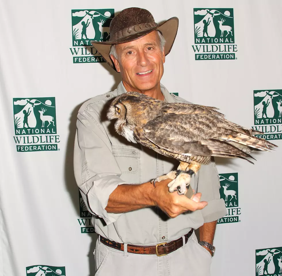 ‘Into the Wild Live’ With Jack Hanna Coming To CNY