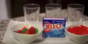 Check Out This Jello Aquarium [VIDEO]