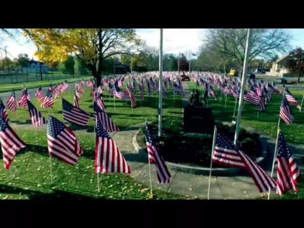 Drone Video Of ‘Flags For Heroes’ On Utica’s Memorial Parkway