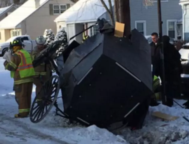 UPDATE: How Are The Horses After The Amish Buggy Accident