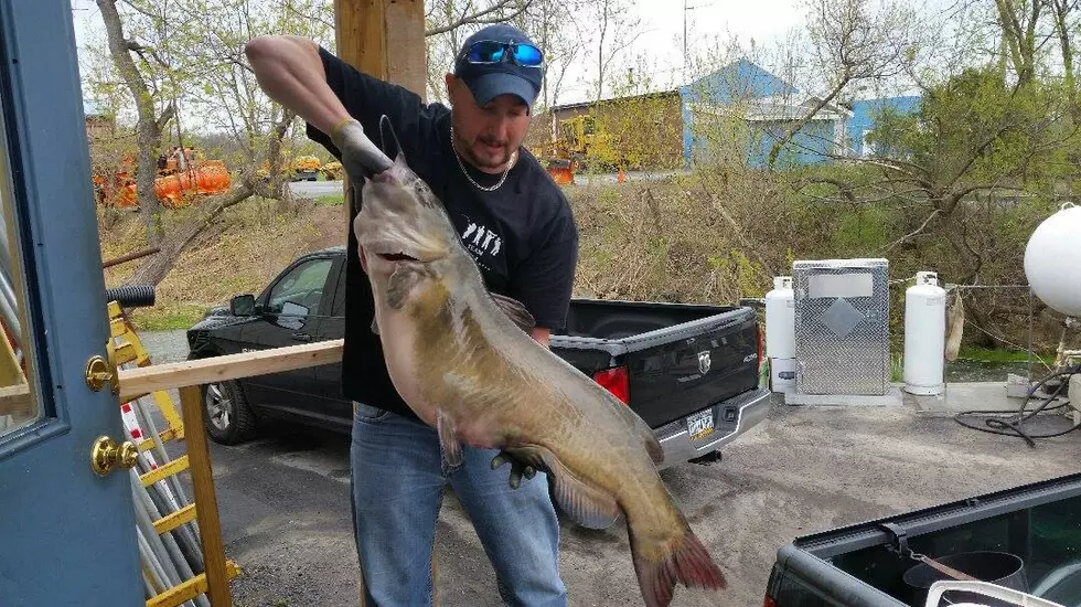 Watertown Native Breaks NYS Catfish Record