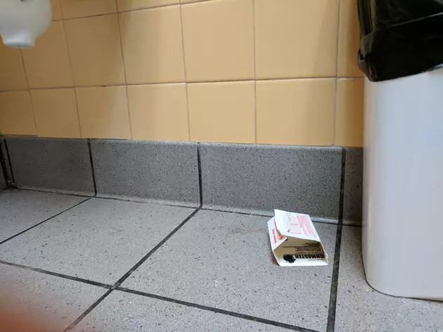 Would You Want To Eat At A Spot With Mousetraps Visible?