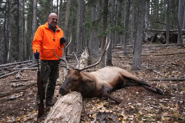 Earlville Man &#8216;Wins Lottery&#8217; And Bags A Huge 14 Point Bull Elk