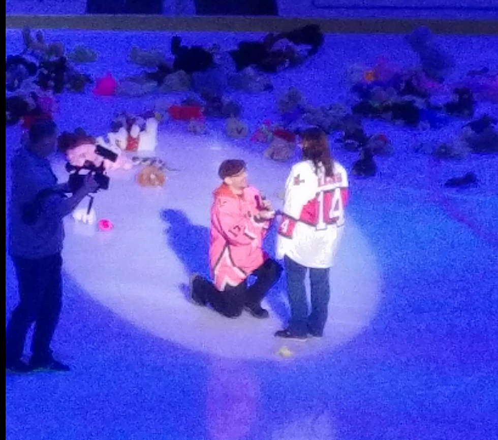 Watch Proposal At Teddy Bear Toss