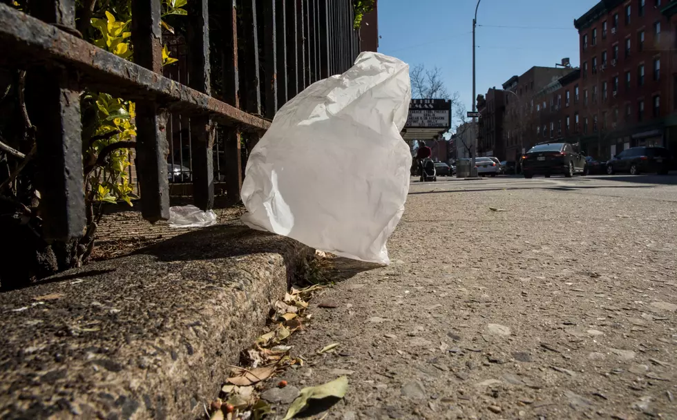 Gov. Cuomo Proposes Statewide Ban on Plastic Bags