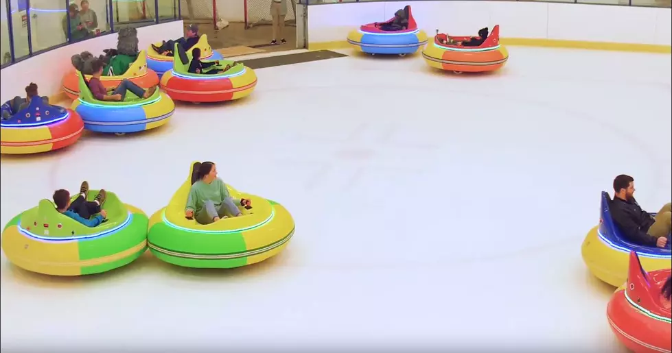 Western New York Introduces Ice Bumper Cars To Stay Cool