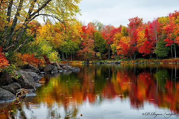 Peak And Near-Peak Foliage In Central New York
