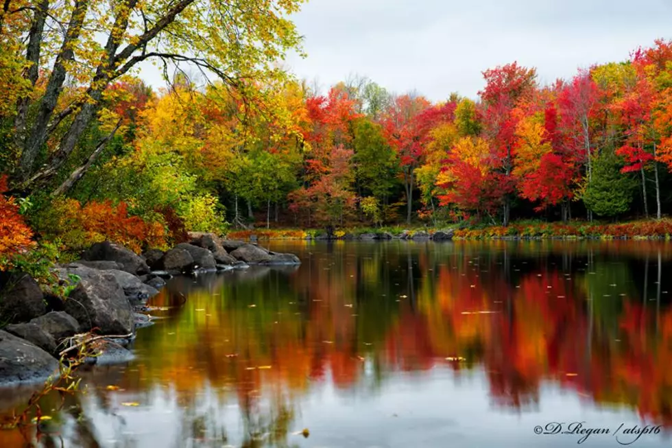 Peak And Near-Peak Foliage In CNY This Weekend