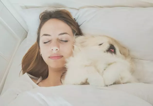 Ladies, Wanna Sleep Better? Buffalo Study Says Get A Dog