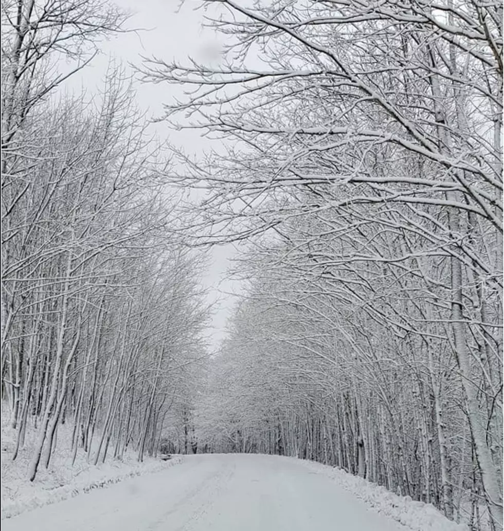 Spring Coastal Storm Brings Heavy Snow And 40 MPH Winds To CNY