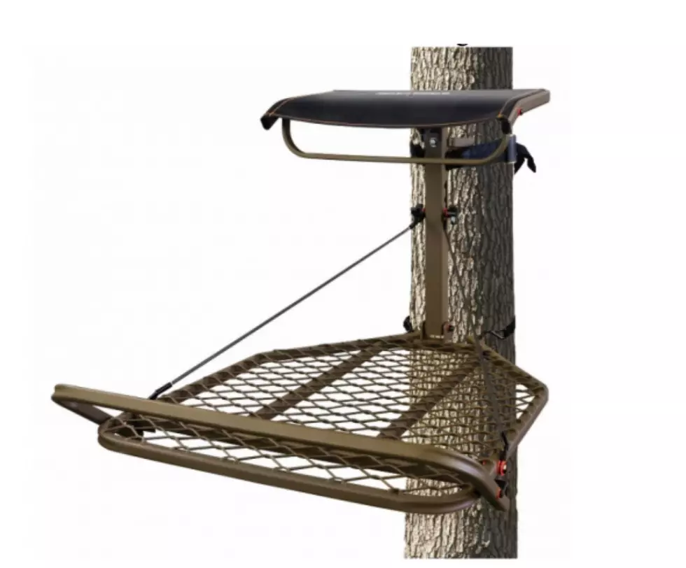 Tree Stands Recalled In CNY