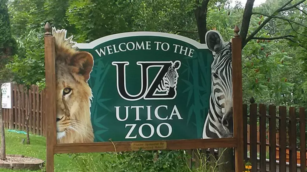 Last Late Friday at the Utica Zoo