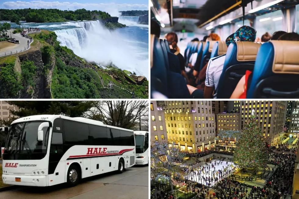 Five Adventures That Are Better with Hale Transportation