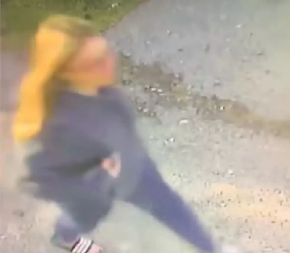Close-Up Captured Of Woman Dumping 3 Cats At Herkimer Humane Society