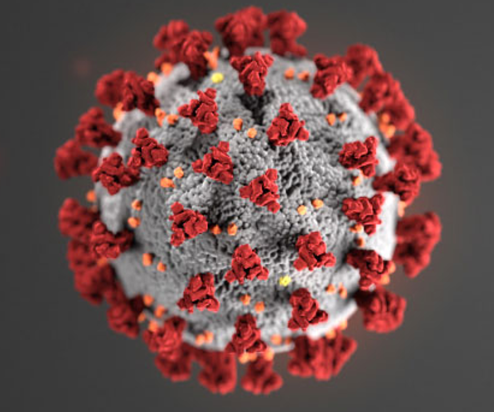 GETTING PERSPECTIVE: Coronavirus vs. the Flu