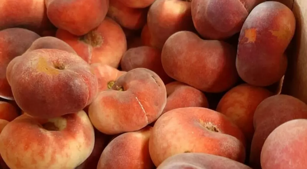 Utica/Rome &#8216;Donut Peaches&#8217; are Juicy and Candy Sweet