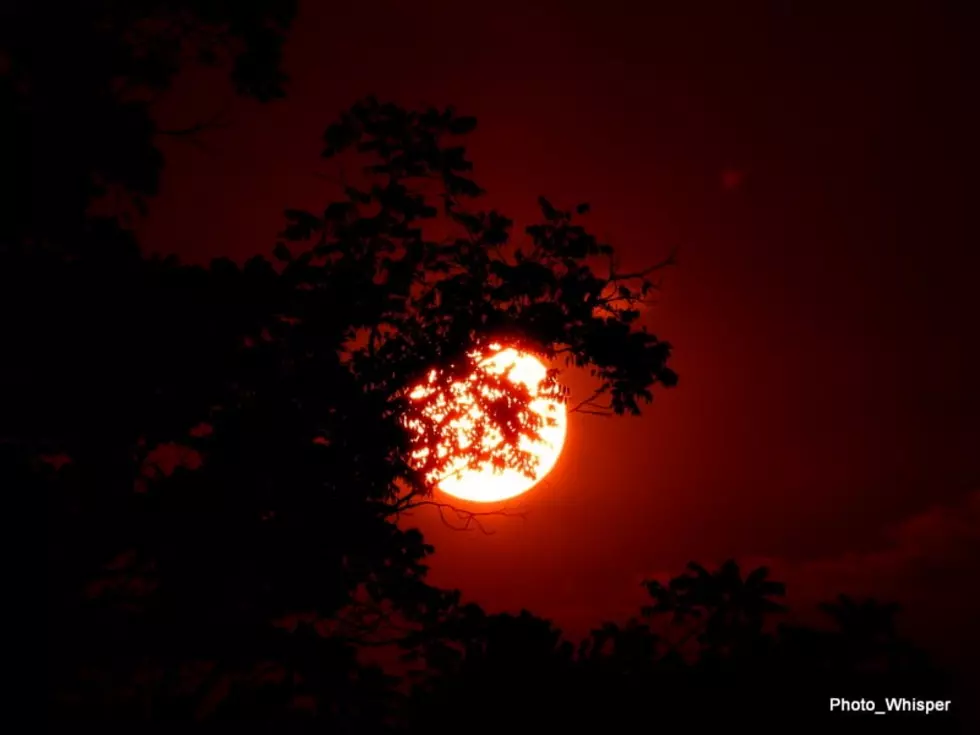 Super Rare Full-Hunter's Blue Moon Rises on Halloween in CNY