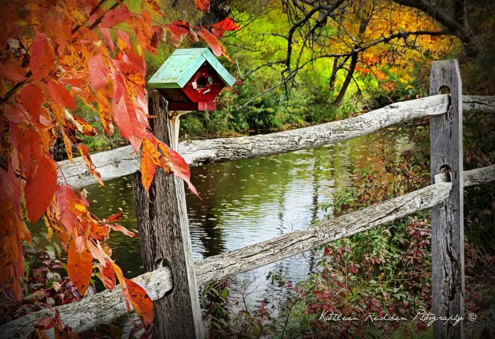 Utica/Rome Fall Foliage Past Peak After Storms